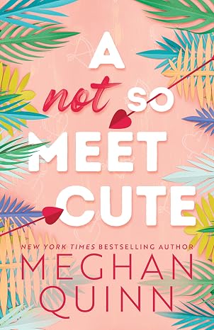 A Not So Meet Cute (Cane Brothers Series, Book 1)