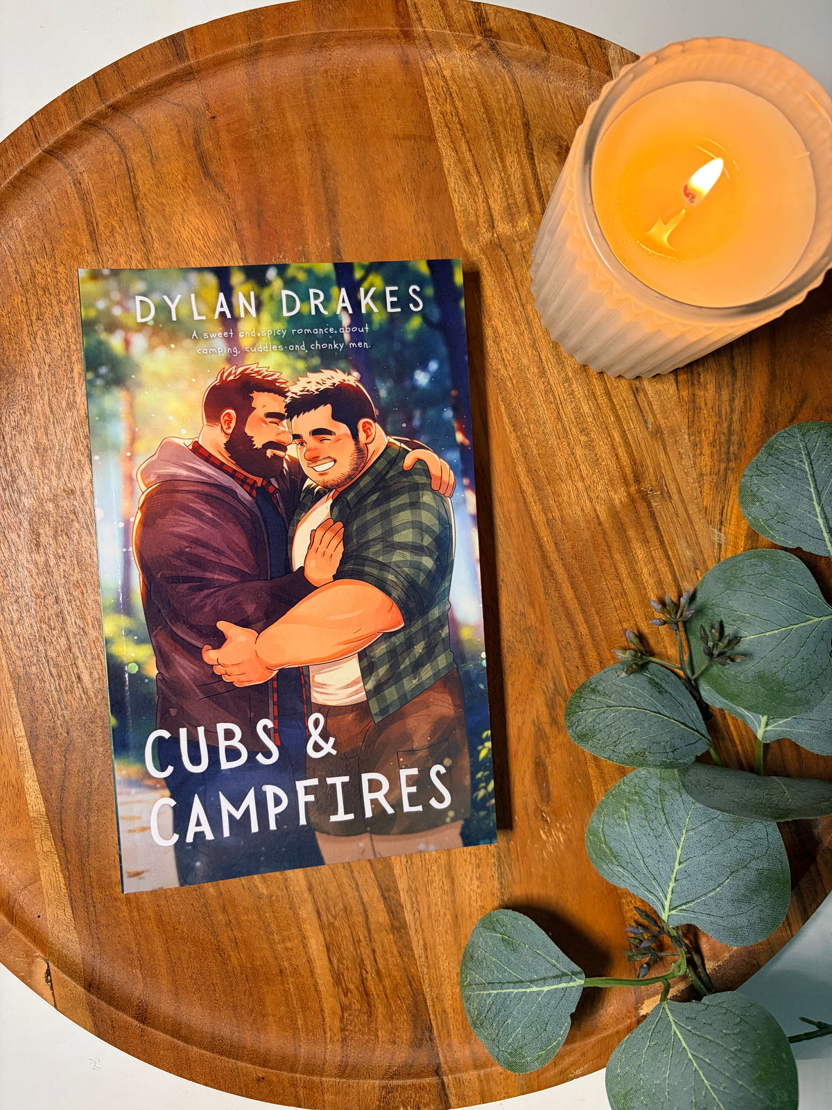 Cubs & Campfires by Dylan Drakes book cover