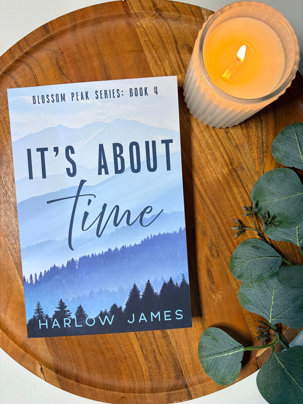 It's About Time by Harlow James book covers