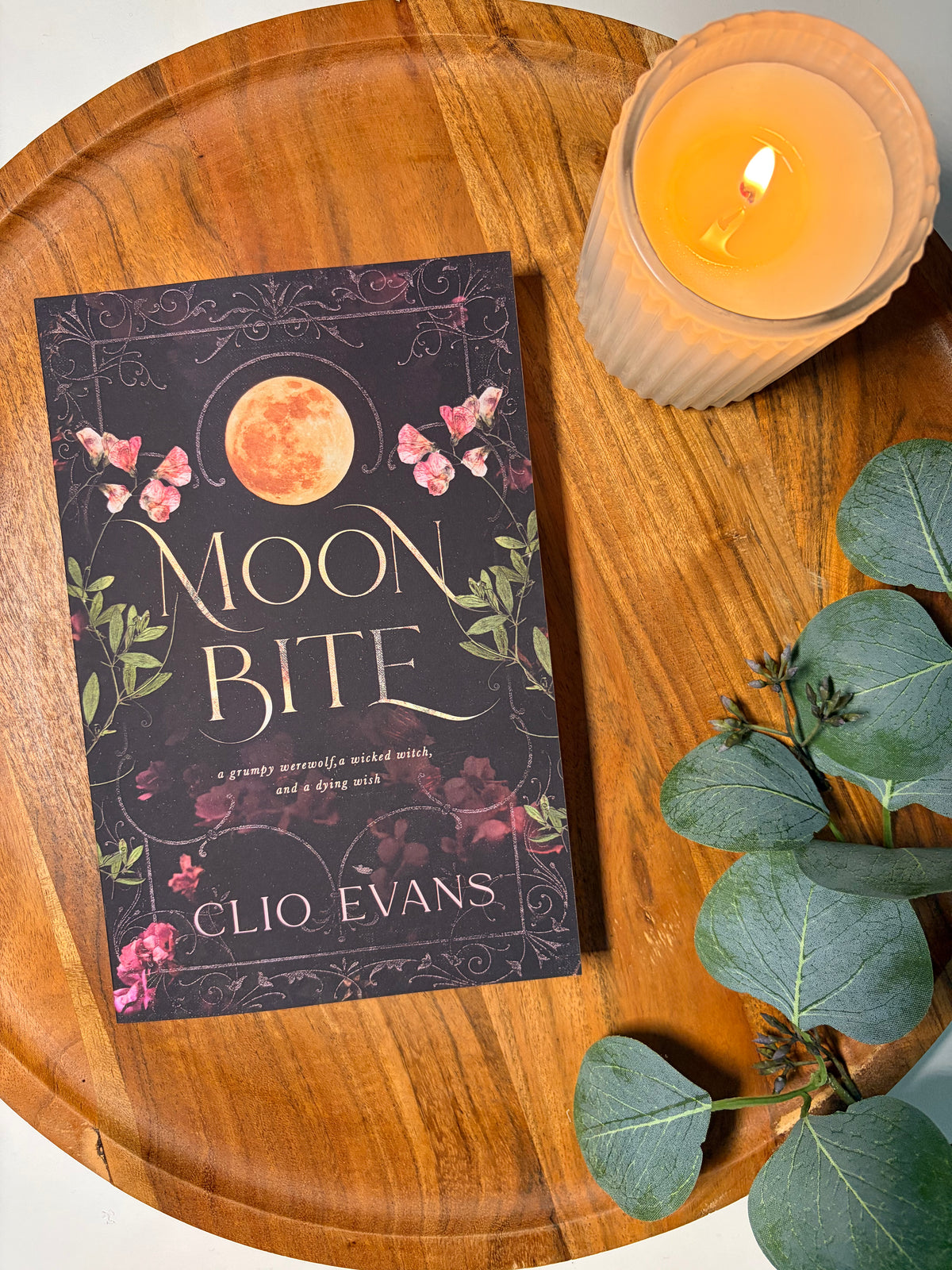 Moon Bite by Clio Evans book cover