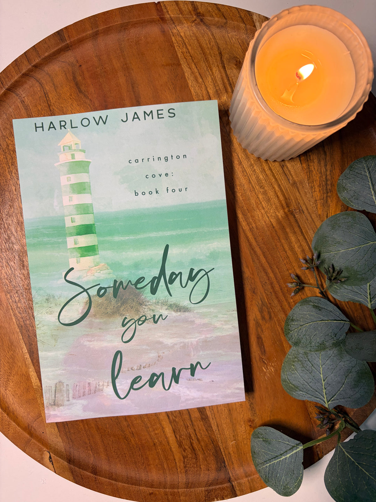 Someday You Learn by Harlow James book cover