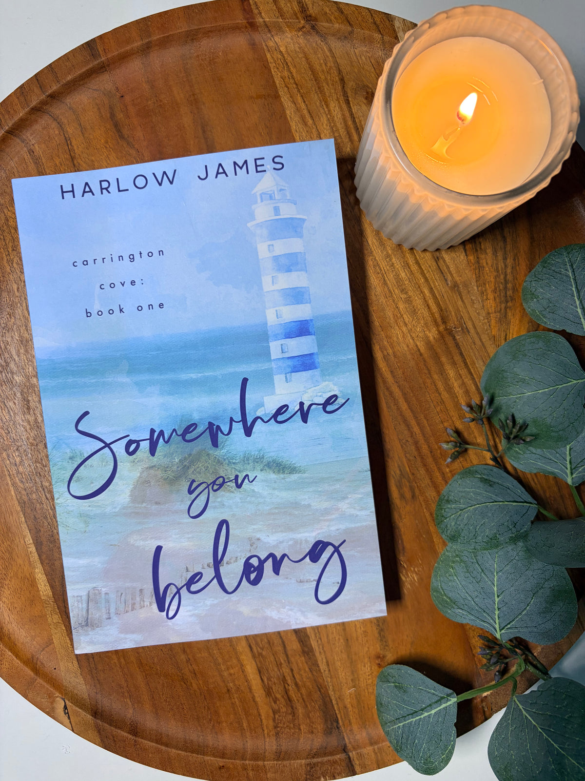 Somewhere You Belong by Harlow James book cover