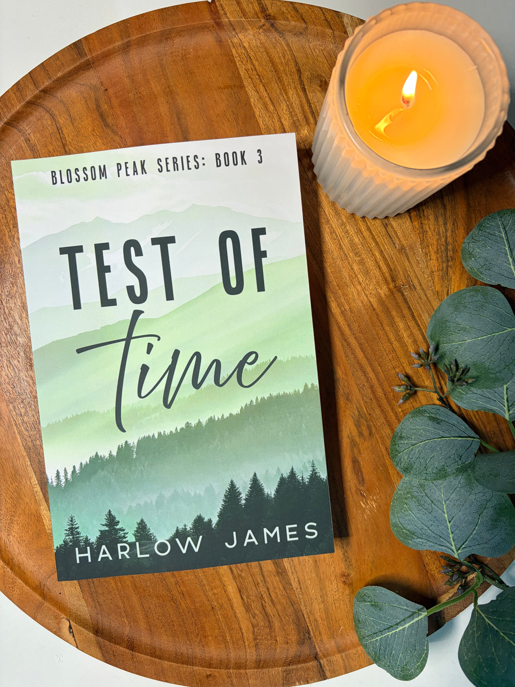 Test of Time by Harlow James book cover